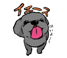 black poodle "BERU" sticker #15773826