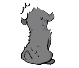 black poodle "BERU" sticker #15773829