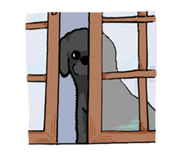 black poodle "BERU" sticker #15773832