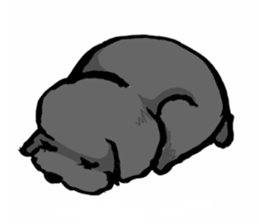 black poodle "BERU" sticker #15773834