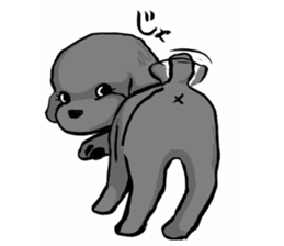 black poodle "BERU" sticker #15773837