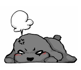 black poodle "BERU" sticker #15773839