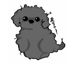 black poodle "BERU" sticker #15773840