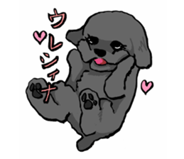 black poodle "BERU" sticker #15773845