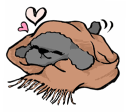 black poodle "BERU" sticker #15773847