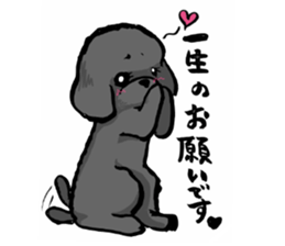 black poodle "BERU" sticker #15773849