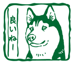 A sticker like Siberian Husky stamp 5 sticker #15775117