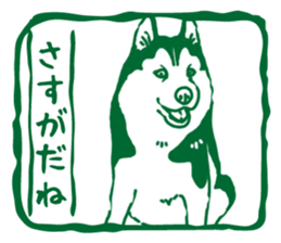 A sticker like Siberian Husky stamp 5 sticker #15775141