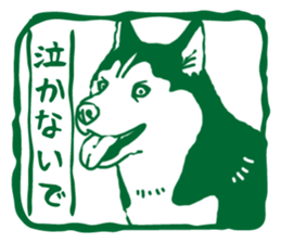 A sticker like Siberian Husky stamp 5 sticker #15775143
