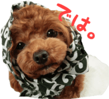 toy poodle moka sticker vol.1 sticker #15776250