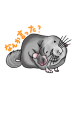 Rodent Animals sticker #15776626