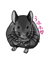 Rodent Animals sticker #15776646