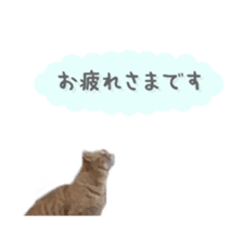 A stray cat moves 3 sticker #15776954