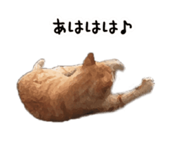 A stray cat moves 3 sticker #15776956