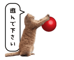 A stray cat moves 3 sticker #15776959