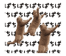 A stray cat moves 3 sticker #15776965