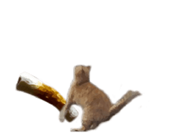 A stray cat moves 3 sticker #15776971