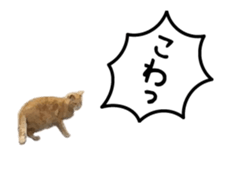 A stray cat moves 3 sticker #15776975