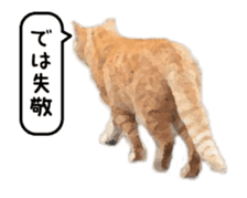 A stray cat moves 3 sticker #15776977