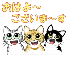 Stray cats in the garden. + kittens 2. sticker #15777018