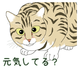 Stray cats in the garden. + kittens 2. sticker #15777019