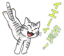 Stray cats in the garden. + kittens 2. sticker #15777020