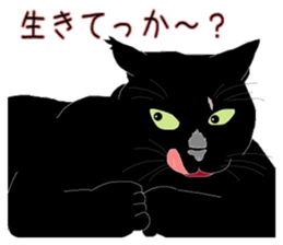 Stray cats in the garden. + kittens 2. sticker #15777021