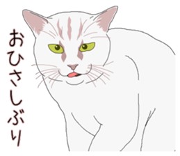 Stray cats in the garden. + kittens 2. sticker #15777022