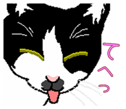 Stray cats in the garden. + kittens 2. sticker #15777023