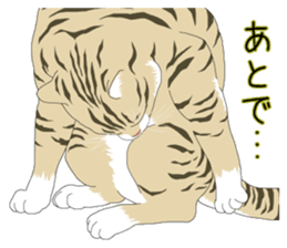 Stray cats in the garden. + kittens 2. sticker #15777025