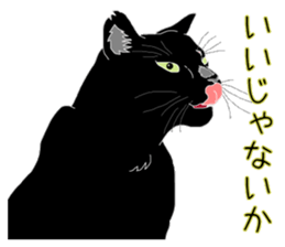 Stray cats in the garden. + kittens 2. sticker #15777028