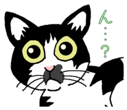 Stray cats in the garden. + kittens 2. sticker #15777031