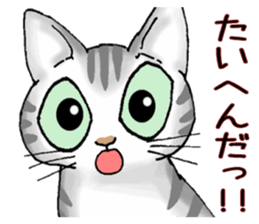 Stray cats in the garden. + kittens 2. sticker #15777033