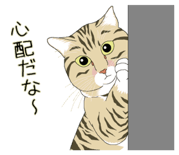 Stray cats in the garden. + kittens 2. sticker #15777035