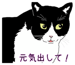 Stray cats in the garden. + kittens 2. sticker #15777038