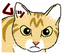 Stray cats in the garden. + kittens 2. sticker #15777047