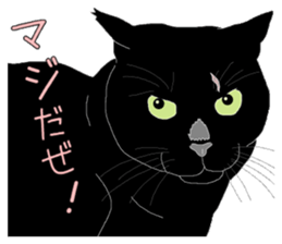 Stray cats in the garden. + kittens 2. sticker #15777048