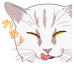 Stray cats in the garden. + kittens 2. sticker #15777050