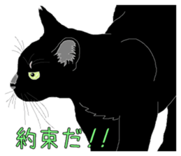 Stray cats in the garden. + kittens 2. sticker #15777051