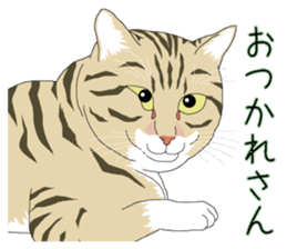 Stray cats in the garden. + kittens 2. sticker #15777054