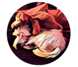 Lazy Days with Moneypenny The Dog sticker #15777815