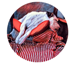 Lazy Days with Moneypenny The Dog sticker #15777817