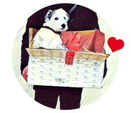 Lazy Days with Moneypenny The Dog sticker #15777819