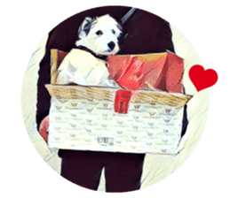 Lazy Days with Moneypenny The Dog sticker #15777819