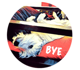 Lazy Days with Moneypenny The Dog sticker #15777825