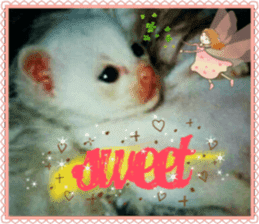 Lovely Cats #3 sticker #15782242