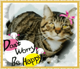 Lovely Cats #3 sticker #15782245