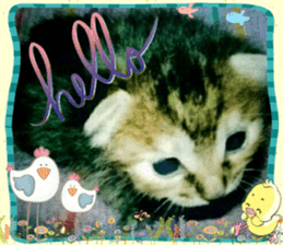 Lovely Cats #3 sticker #15782247