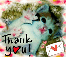 Lovely Cats #3 sticker #15782248