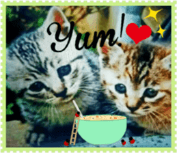 Lovely Cats #3 sticker #15782249